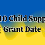 R510 Child Support Grant