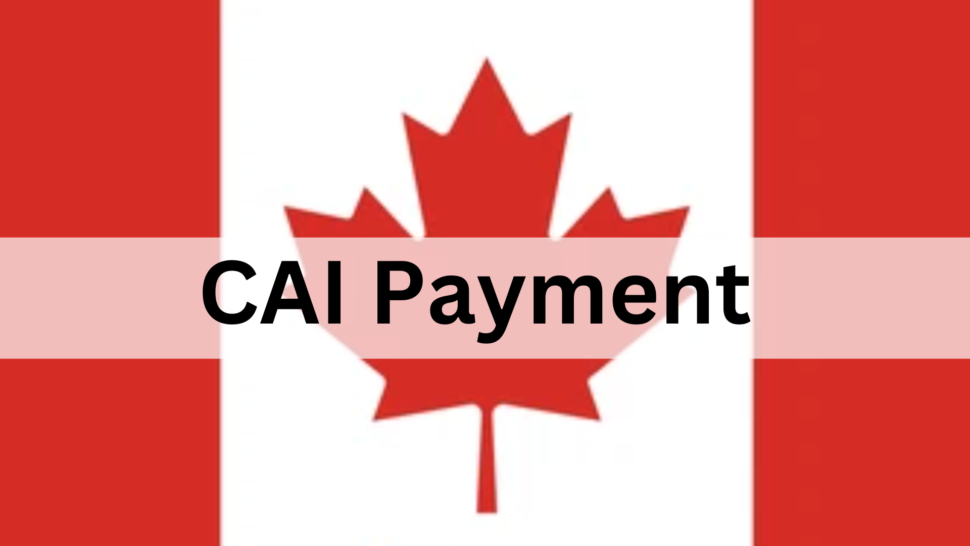 CAI Payment